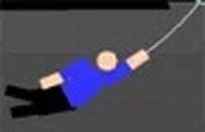 Rope Swing Explorer
