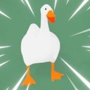 Silly Bird Town Challenges