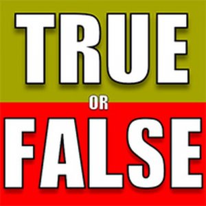 True or False Quiz Online Puzzle Game