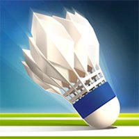 Badminton Arcade Sports Match