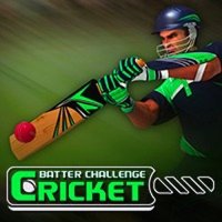 Cricket Batting Challenge Sports