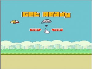 Flappy Bird 2D Action Game