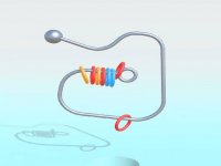 Rolling Ring 3D Puzzle