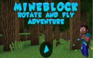 Spin Leap Platformer